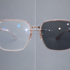 Lunettes Photochromiques Anti-Lumière Bleue LumiVue
